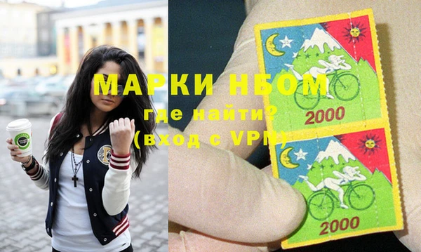 хмурый Алексин