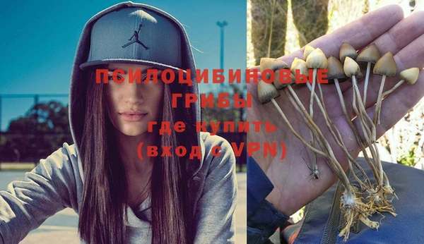 стаф Покачи