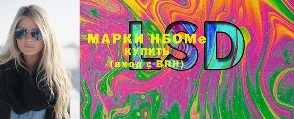 хмурый Алексин