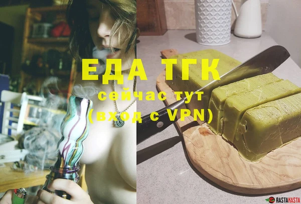 хмурый Алексин