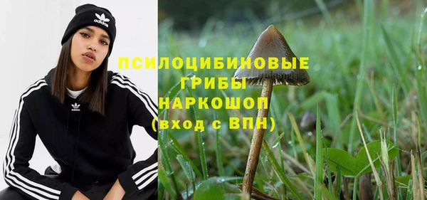 хмурый Алексин