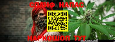 стаф Кулебаки
