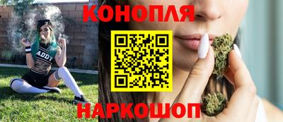 стаф Кулебаки