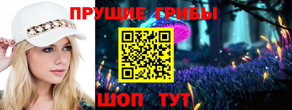 Геленджик  Псилоцибиновые грибы ЛСД  Вход с VPN  Галлюциногенные грибы Psilocybine cubensis 